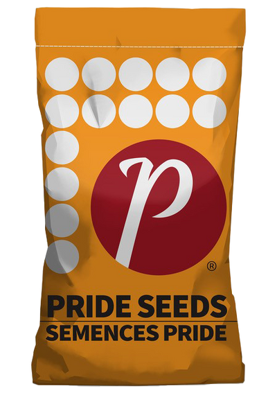 Sac de mais A5959G2 RIB - Semences Pride