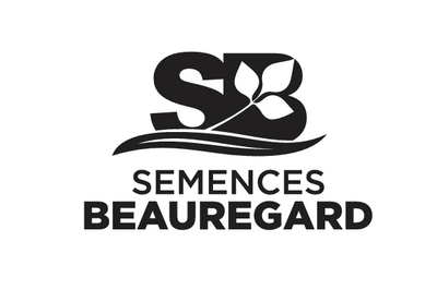 Engrais vert - Avoine-Pois