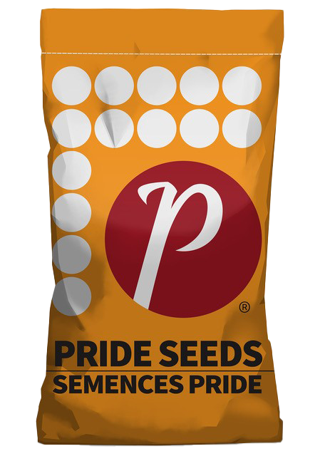 Sac de mais A5959G2 RIB - Semences Pride