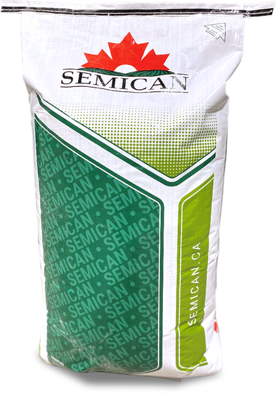 Your Reliable Source of Seeds for Farmers - Semences Beauregard